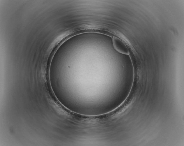 X0000112090930200908041447