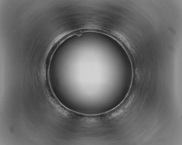 X0000112090931200908041447