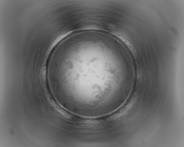 X0000112090933200908041447