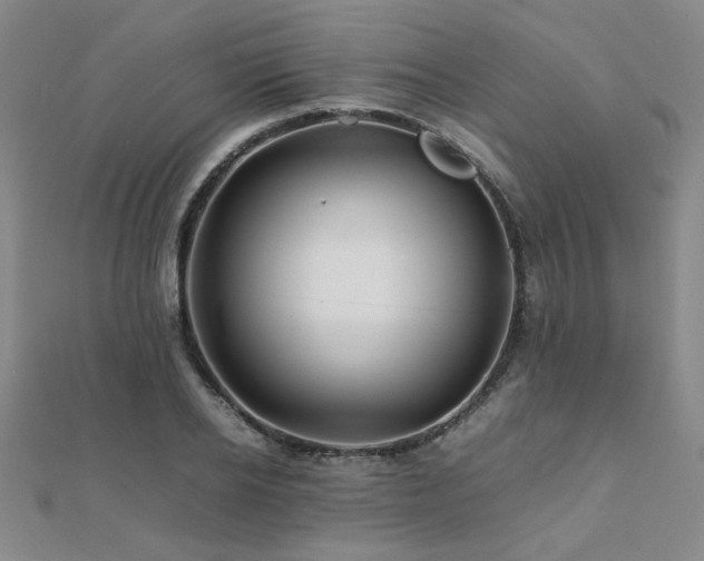 X0000112090934200908041447
