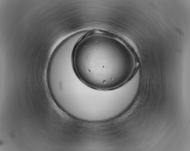 X0000112090936200908041447
