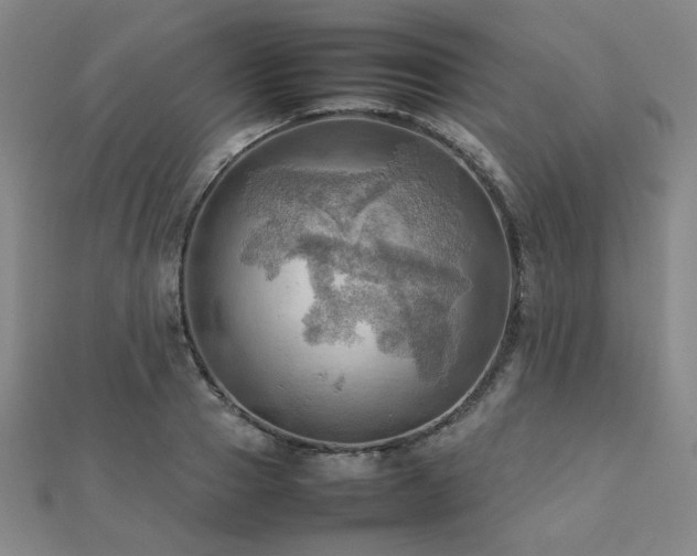 X0000112090937200908041447