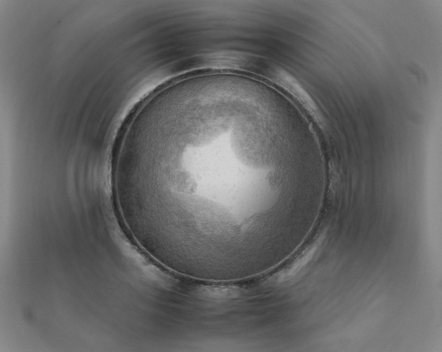 X0000112090939200908041447