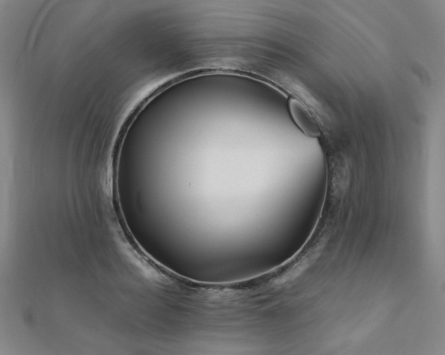 X0000112090940200908041447