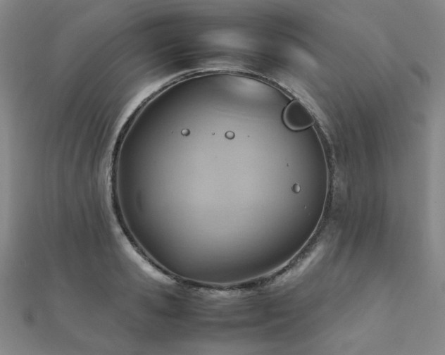 X0000112090941200908041447