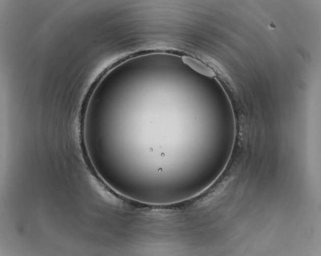 X0000112090942200908041447