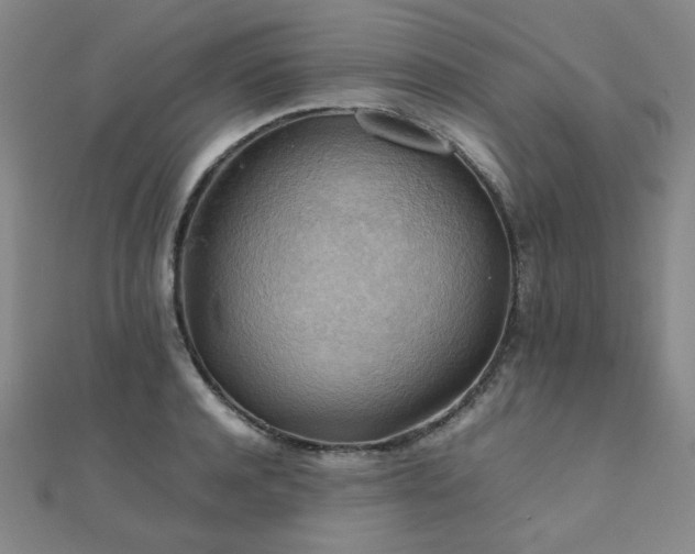 X0000112090944200908041447
