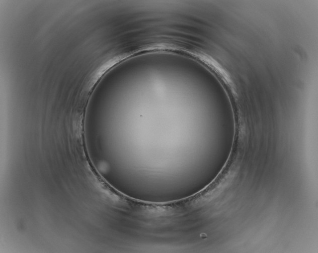 X0000112090945200908041447