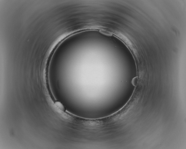 X0000112090947200908041447
