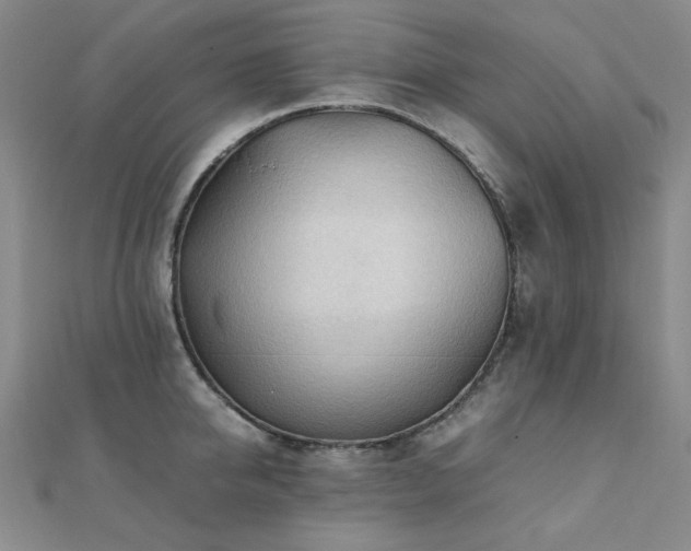 X0000112090950200908041447
