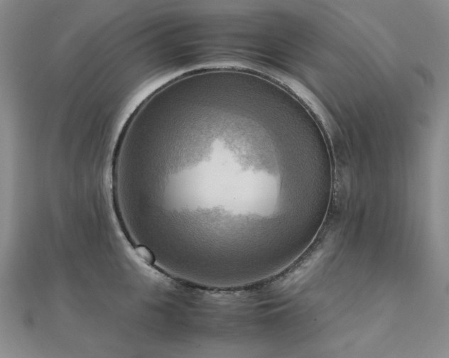 X0000112090951200908041447