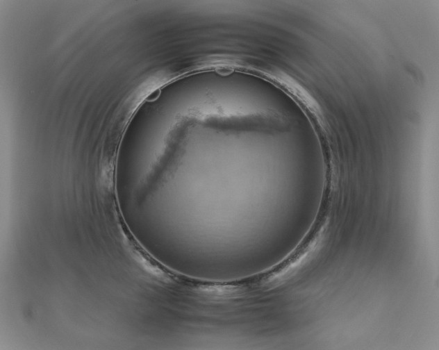 X0000112090953200908041447
