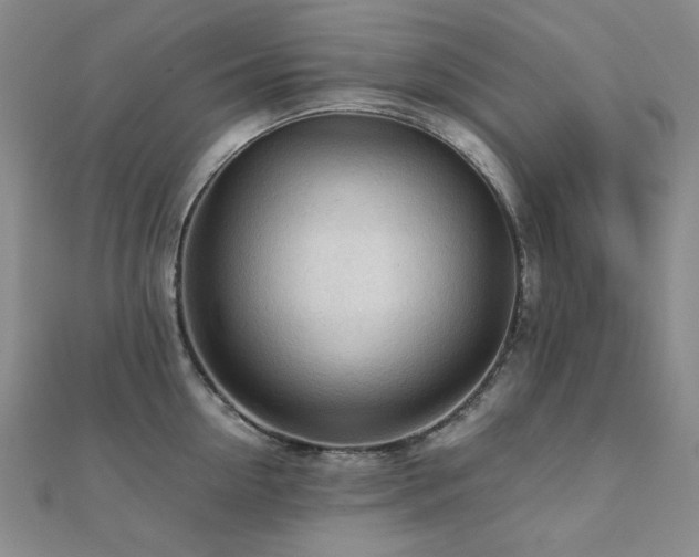 X0000112090954200908041447