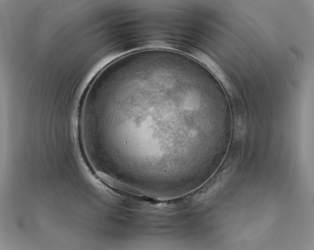 X0000112090955200908041447
