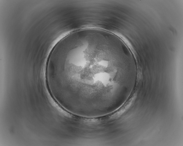 X0000112090957200908041447