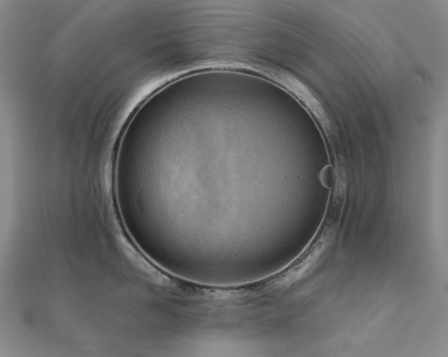X0000112090958200908041447