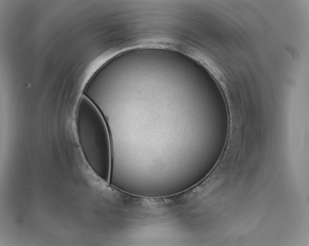 X0000112090960200908041447