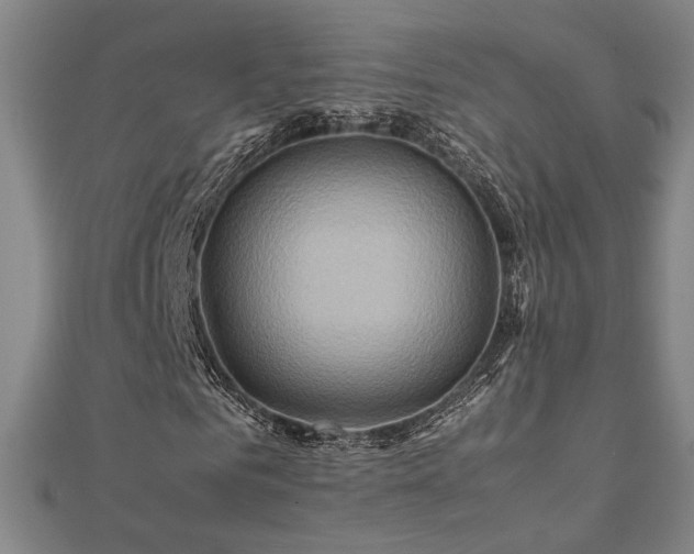 X0000112090961200908041447