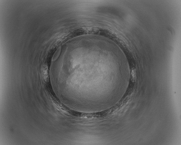 X0000112090963200908041447