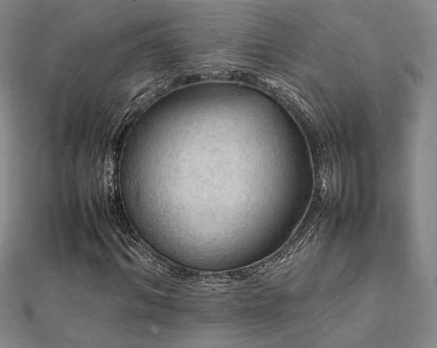 X0000112090964200908041447