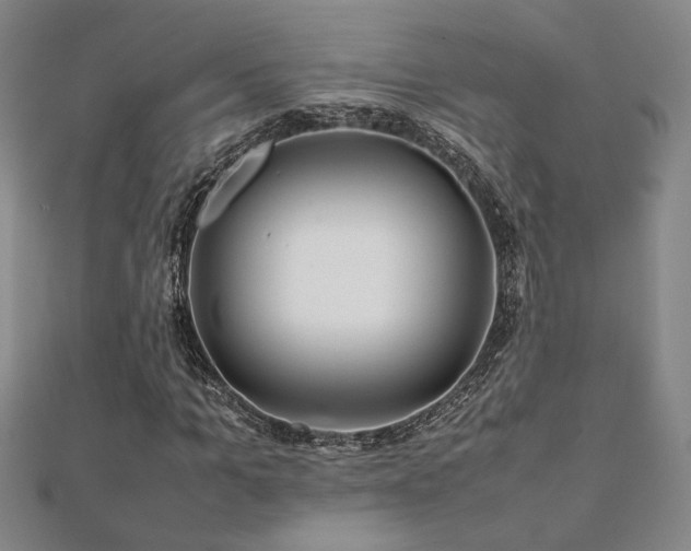 X0000112090965200908041447
