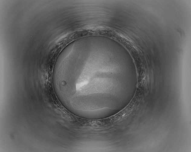 X0000112090966200908041447