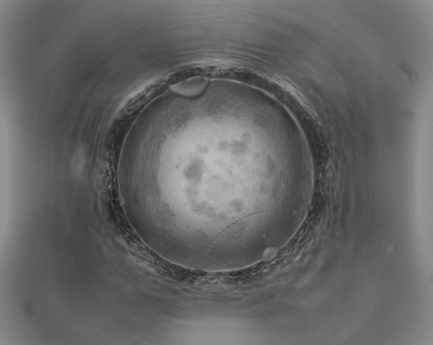 X0000112090967200908041447