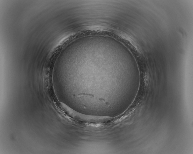 X0000112090968200908041447