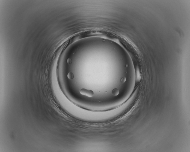 X0000112090969200908041447