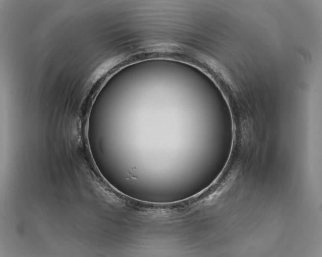 X0000112090970200908041447