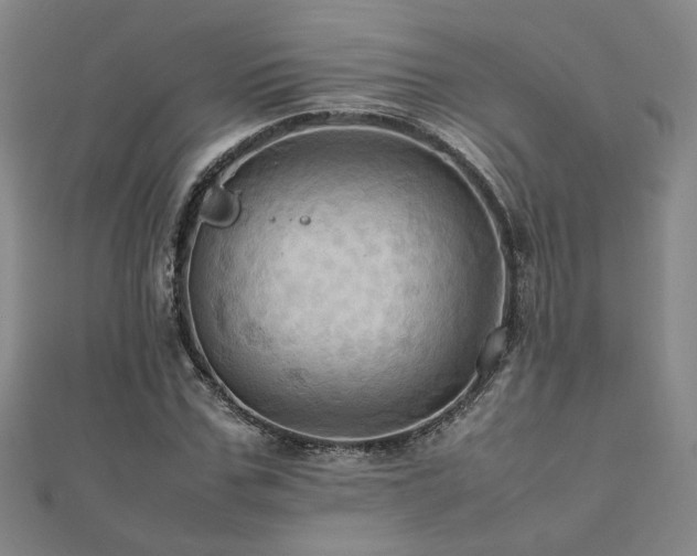 X0000112090971200908041447