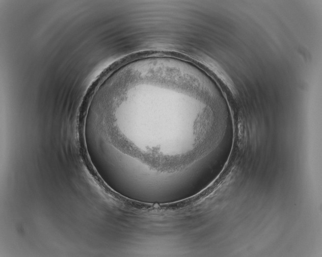 X0000112090972200908041447