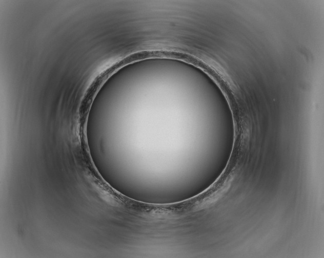 X0000112090974200908041447