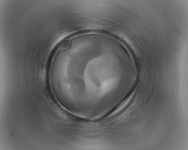 X0000112090975200908041446