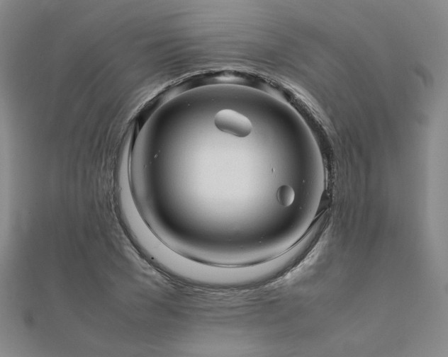 X0000112090977200908041446