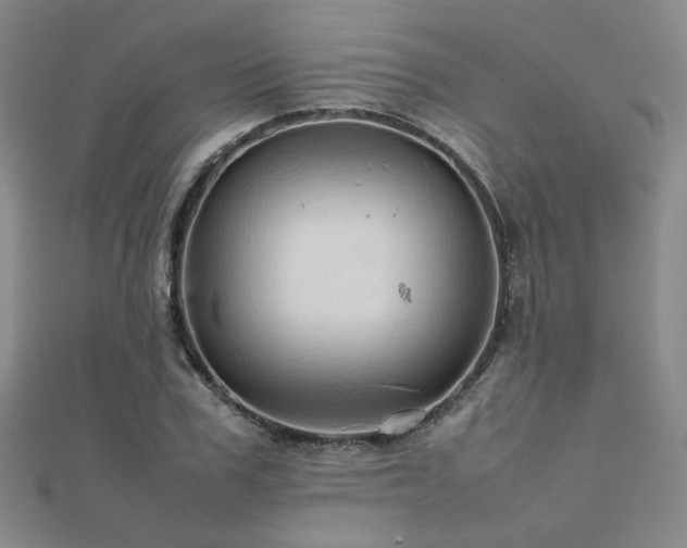 X0000112090979200908041446