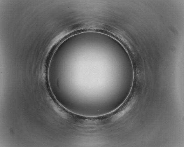 X0000112090981200908041446