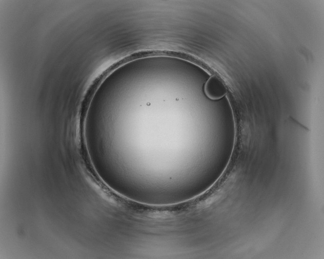 X0000112090982200908041446