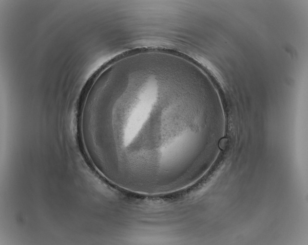 X0000112090983200908041446