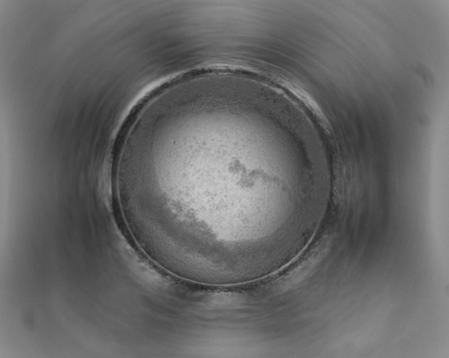 X0000112090984200908041446