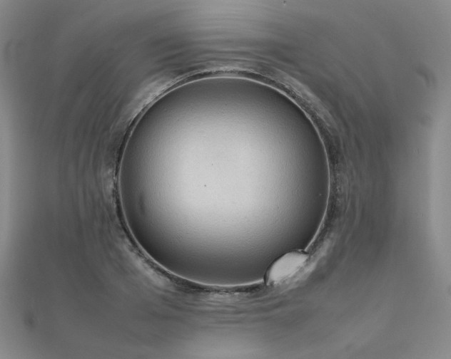 X0000112090985200908041446
