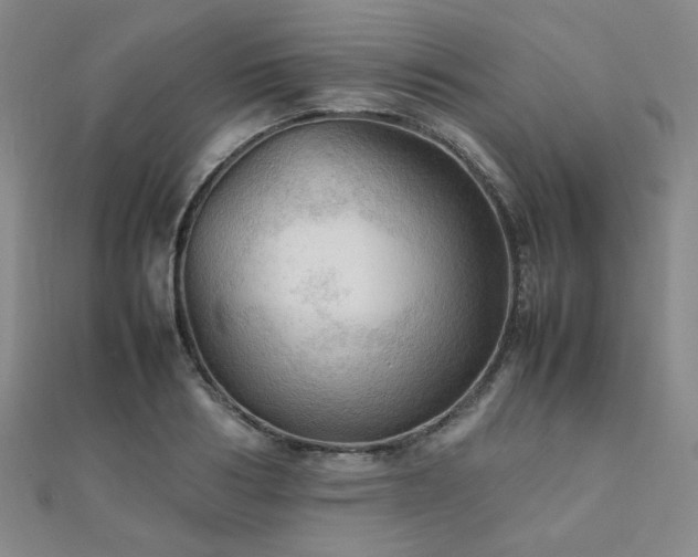 X0000112090986200908041446