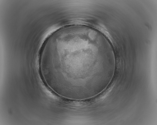 X0000112090987200908041446