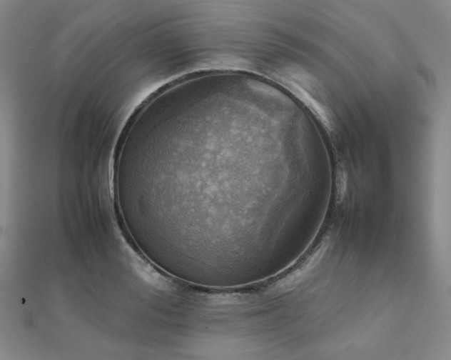 X0000112090988200908041446