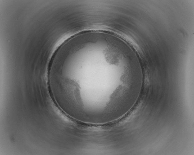 X0000112090990200908041446