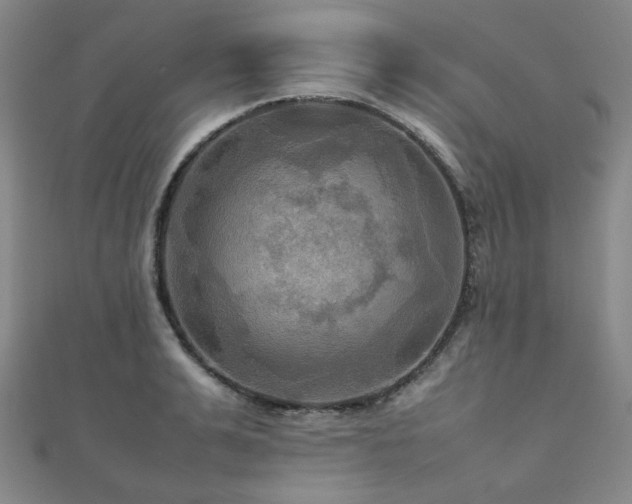 X0000112090991200908041446