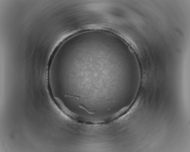 X0000112090992200908041446