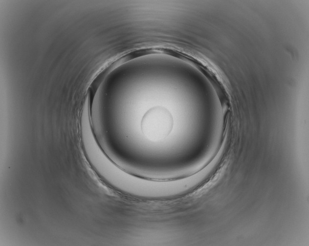 X0000112090993200908041446