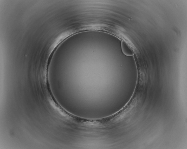 X0000112090994200908041446