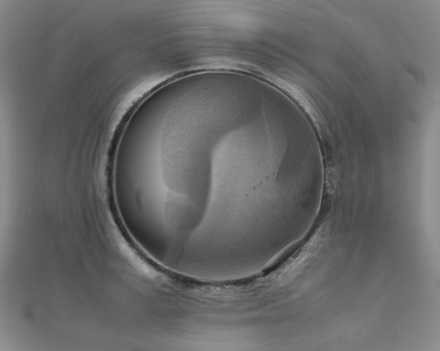 X0000112090995200908041446